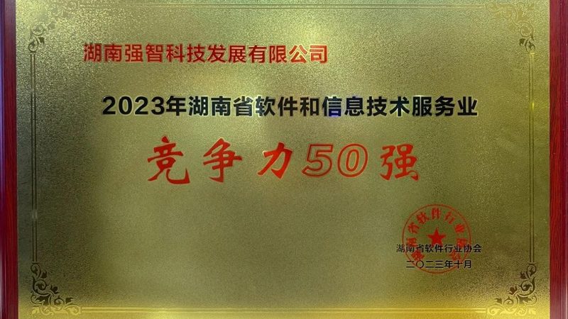 信息技术加盟代理：揭秘加盟背后的逻辑与选择**